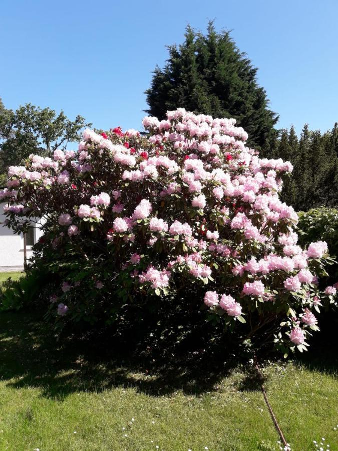 Ferienhaus Am Langen See III Heidesee 外观 照片