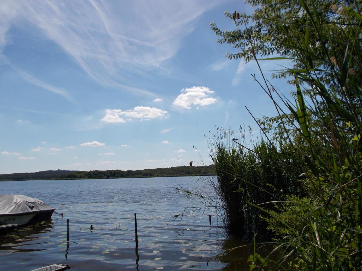 Ferienhaus Am Langen See III Heidesee 外观 照片